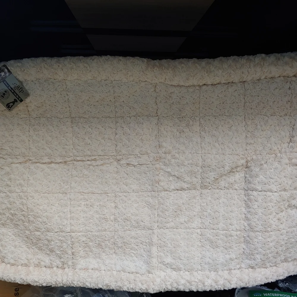 Xl dog beds